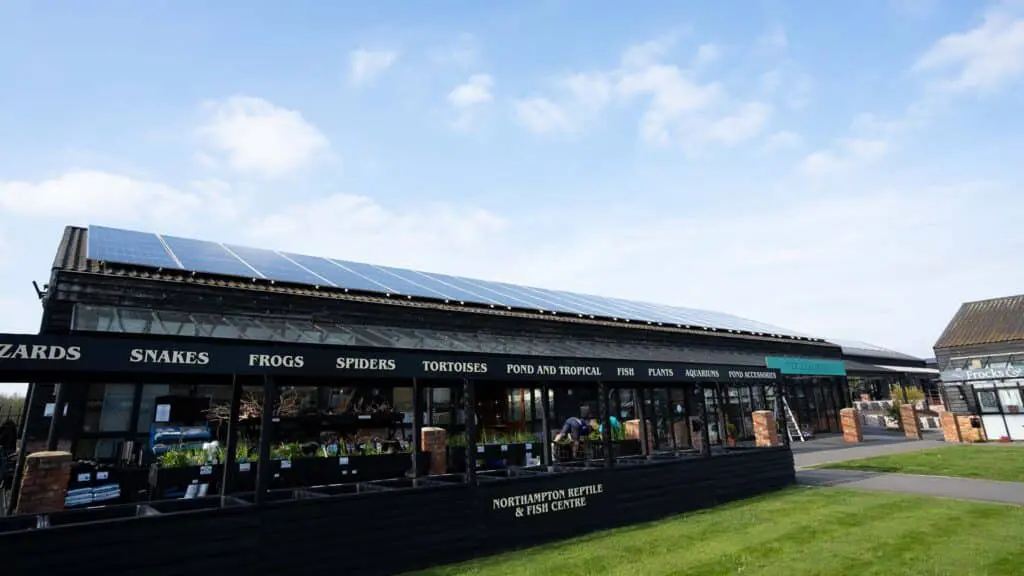 solar panels on retail building