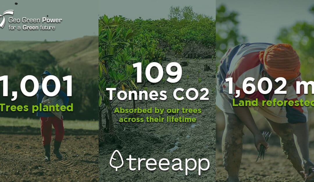 1,001 trees and counting!