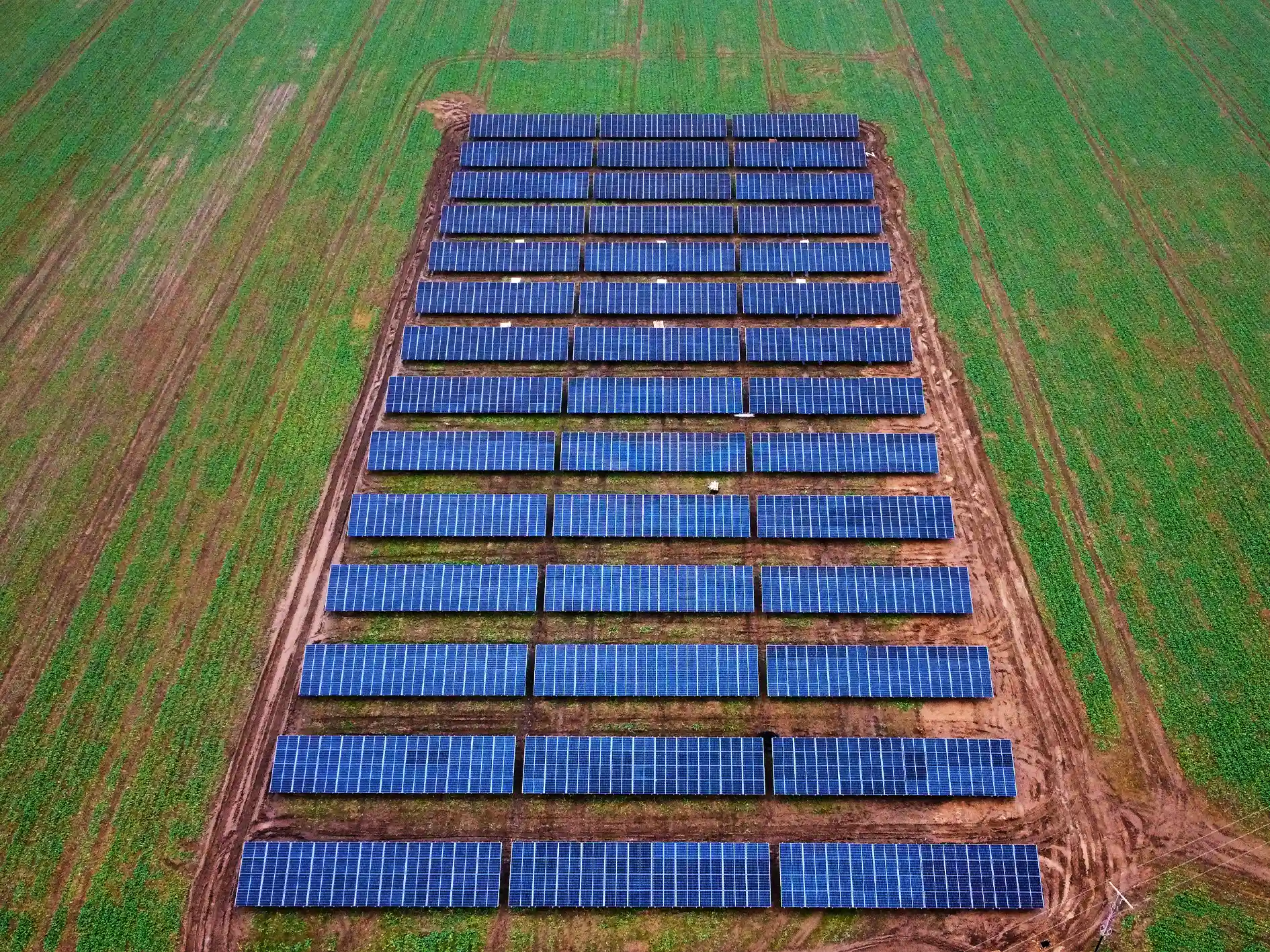 Farm 5