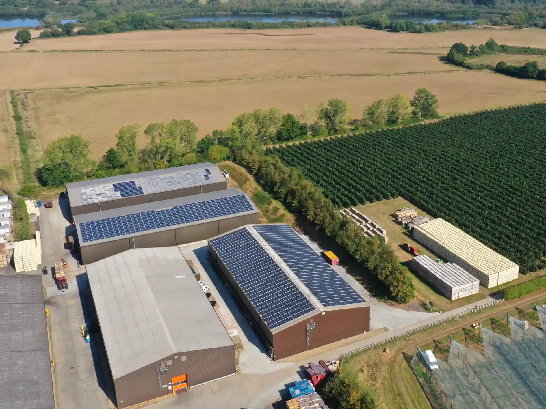 Farm 7