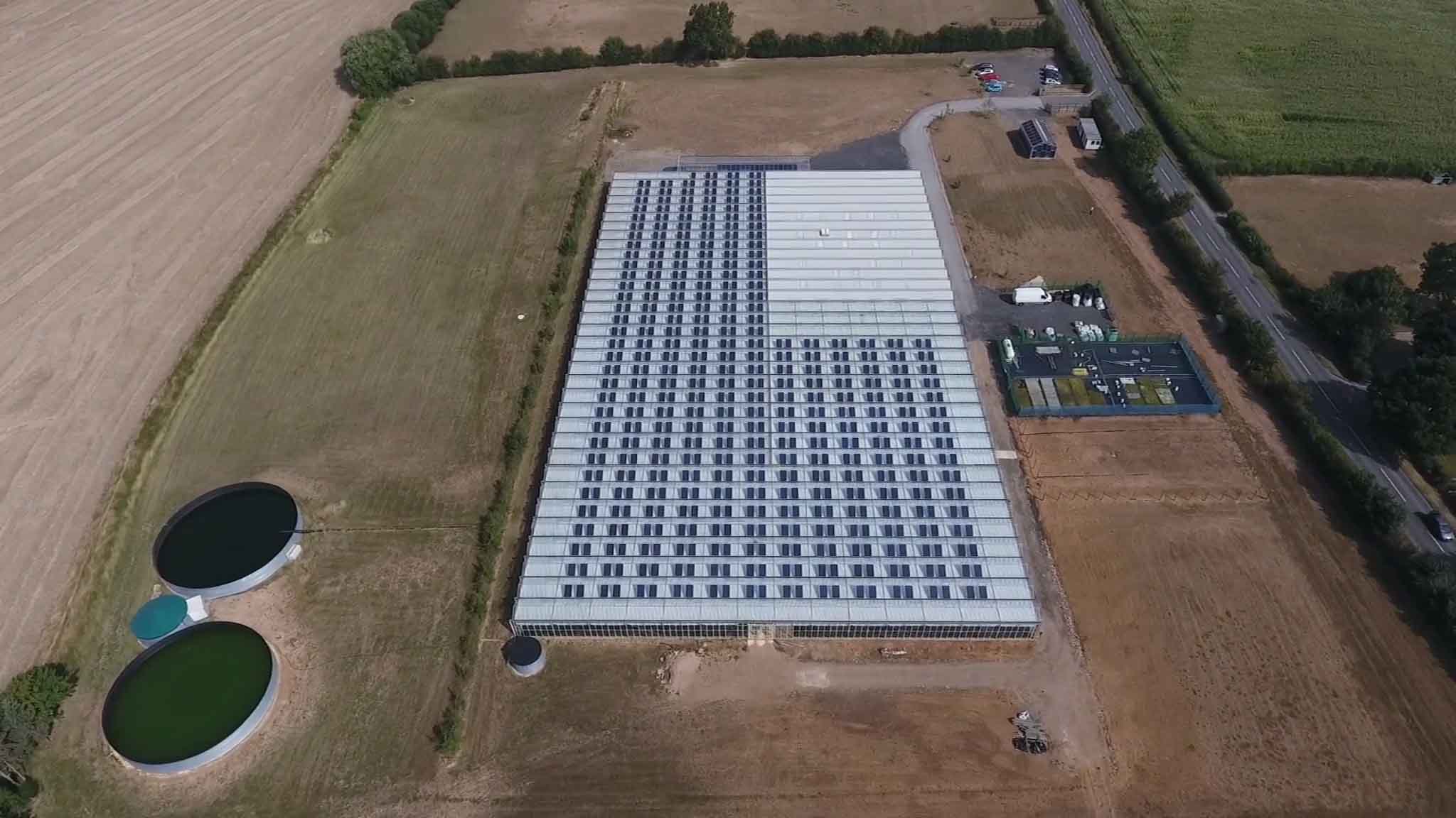 Solar-at-horticultural-site