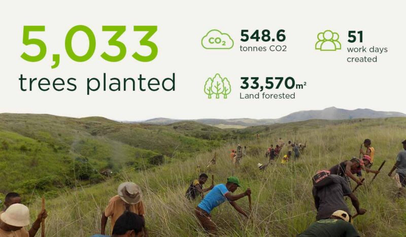 5000 trees planted with treeapp statistics 