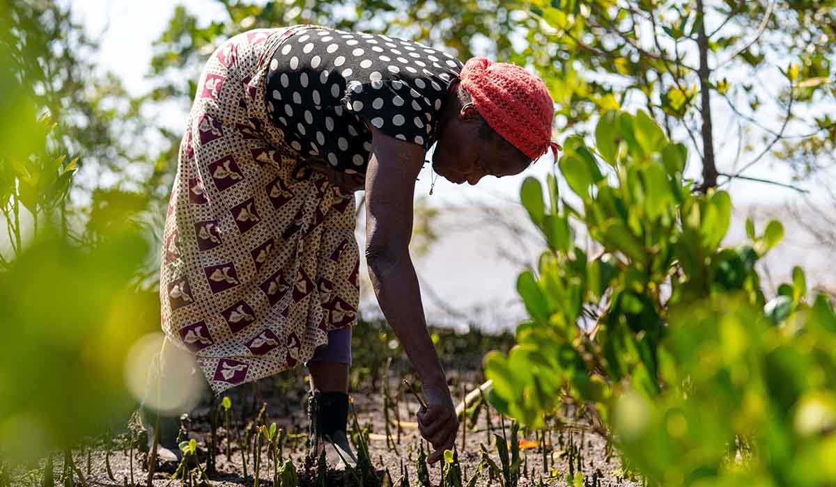 A woman planting a tree thanks to treeapp donations